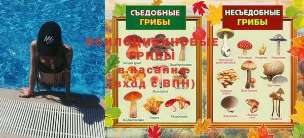 шишки Семёнов