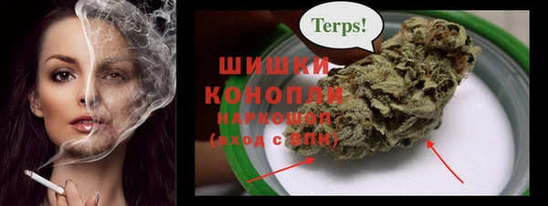 СК Волоколамск