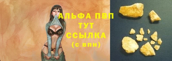 СК Волоколамск