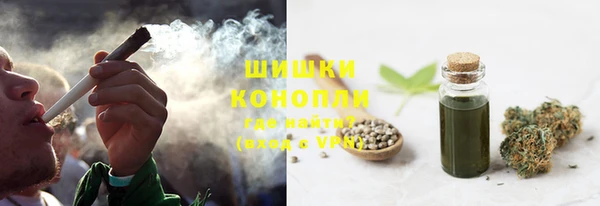 СК Волоколамск