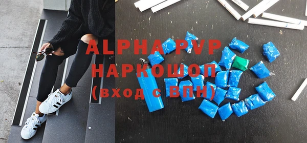 СК Волоколамск