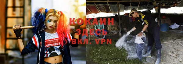 СК Волоколамск
