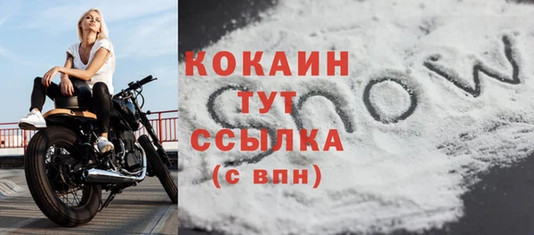 СК Волоколамск