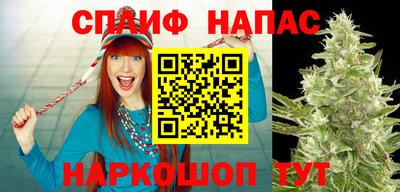 трава Будённовск