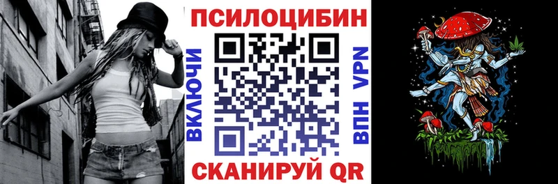 где купить наркоту  Каменск-Уральский  Галлюциногенные грибы Magic Shrooms 