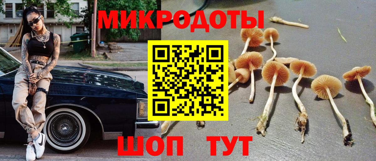 Псилоцибиновые грибы Psilocybine cubensis  наркота  Галлюциногенные грибы Psilocybine cubensis  Каменск-Уральский  Вход с VPN 