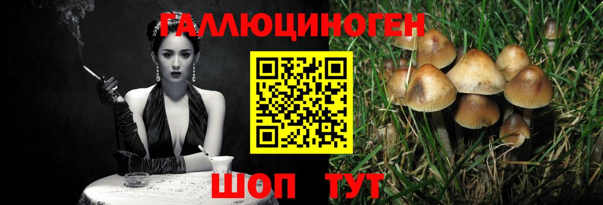 Псилоцибиновые грибы прущие грибы Каменск-Уральский